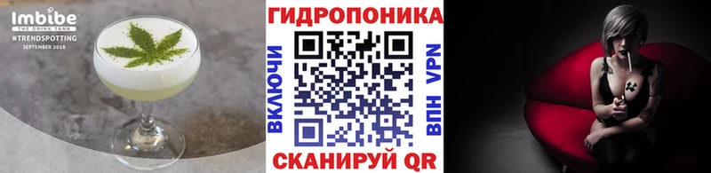 Canna-Cookies марихуана  Купить  Яровое 